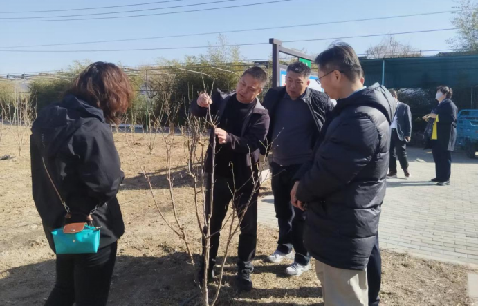 1742177832452070.png image.png