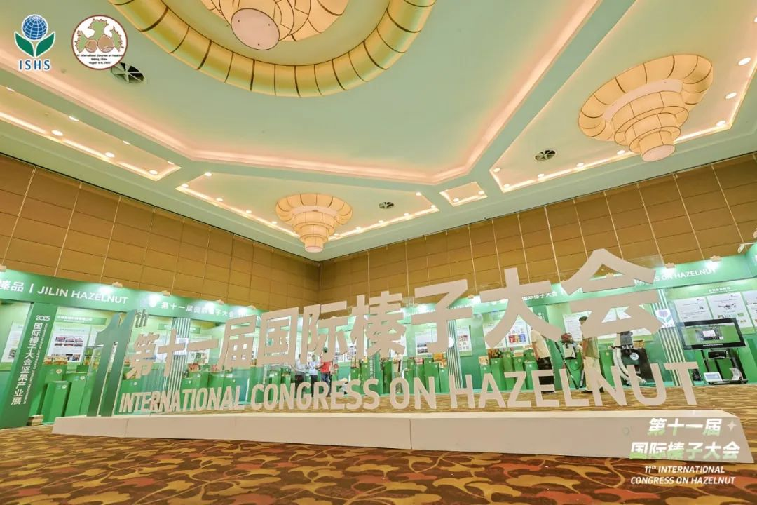 1754466675950468.png 1754466661843218.png