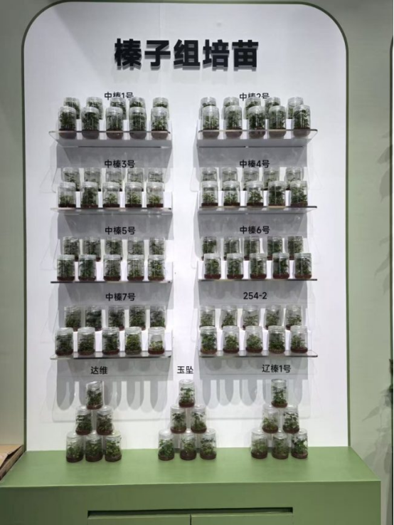 1761878565173539.png image.png